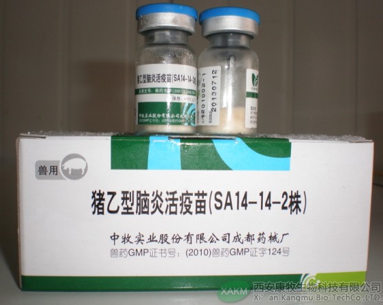 猪乙型脑炎活疫苗（SA14-14-2株）