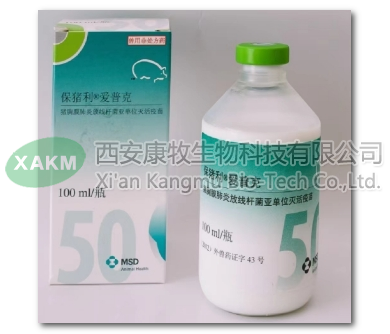 猪萎缩性鼻炎灭活疫苗
